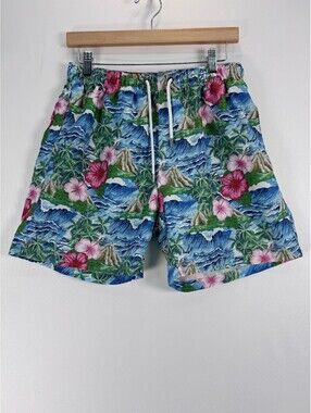 Boys Swim Trunks Tropical Coastal Hawaiian Volcano L Franks Liner Removed